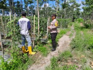 Hadapi Hama Tanaman, Polisi Kediri Dampingi Petani di Desa Manggis